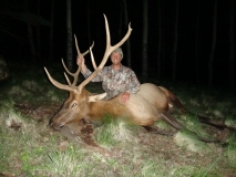 Bruce Shank from Virginia with his 2011 elk that he harvested near Mt. Taylor during the archery hunt.