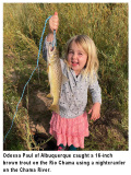 fishing-report-brown-trout-chama-river-09-28-2020-NMDGF