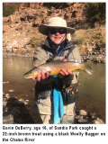 fishing-report-brown-trout-chama-river-11-10-2020-NMDGF