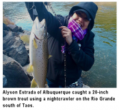 fishing-report-brown-trout-rio-grande-11-17-2020-NMDGF