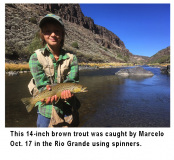 fishing-report-brown-troute-rio-grande-11-03-2020-NMDGF