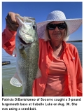 fishing-report-caballo-lake-largemouth-bass-09_03_2019-NMDGF
