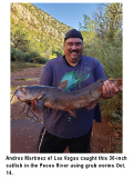 fishing-report-catfish-pecos-11-03-2020-NMDGF