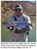 fishing-report-chama-river-raimbow-trout-12-17-2019-NMDGF
