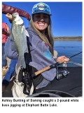 fishing-report-elephant-butte-lake-white-bass-09-24_2019-NMDGF