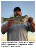 fishing-report-largemouth-bass-brantley-lake-11-10-2020-NMDGF