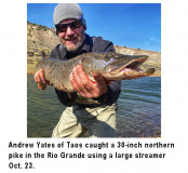 fishing-report-pike-rio-grande-11-03-2020-NMDGF