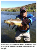 fishing-report-san-juan-reiver-brown-trout-06-23-2020-NMDGF