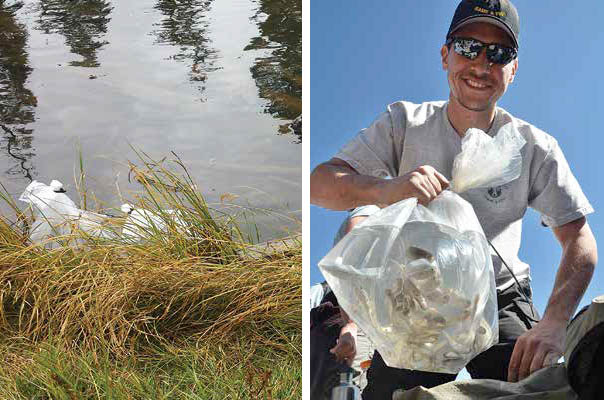 Left: Rio Grande cutthroat trout await stocking into Stewart Lake. The fish remained in bags and were placed in the shallow water to provide time to acclimate to the water temperature prior to release; Right: Laurence D’Alessandro, coldwater biologist for Game and Fish, poses momentarily with a bag of Rio Grande cutthroat trout prior to stocking. New Mexico Wildlife magazine, NMDGF