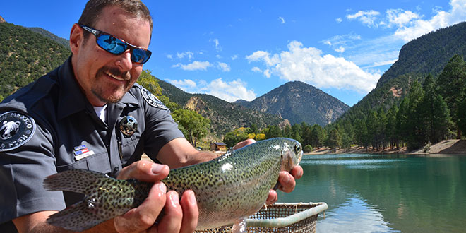 Eric Frey, sportfish program manager and recipient of the Director’s 2015 Wildlife Conservation Professional of the Year Award, holds a rainbow trout prior to release in Eagle Rock Lake. New Mexico Wildlife magazine, NMDGF.