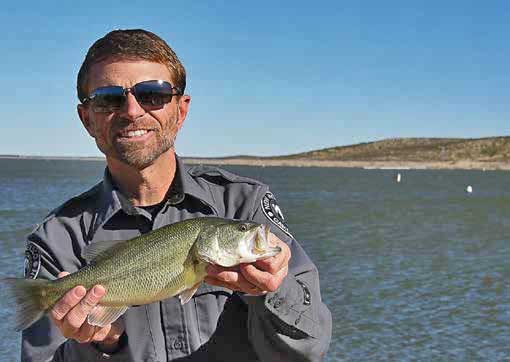 Shawn Denny, warm water fisheries biologist for the department, shows off a typical bass found at Brantley Lake during fish population surveys in late 2015. The spilling basin at Brantley is reputed to be a great fishing hole. New Mexico Wildlife magazine, NMDGF