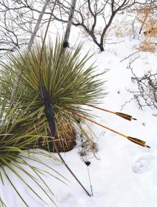 Using one of these tips, bow hunters can “stalk” their prey, which might be prickly pear cactus or yucca. Try to pick a specific spot on the plant and come as close to hitting that mark as possible. New Mexico Wildlife magazine, NMDGF