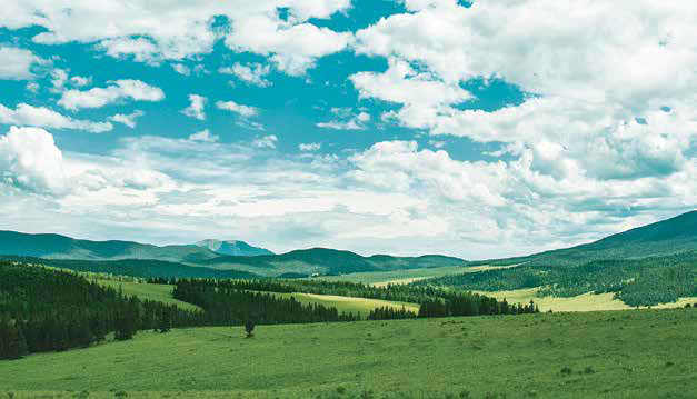 The Valle Vidal will provide visitors with the wonders of Yellowstone National Park without all the foot traffic. Located west of Raton in the Carson National Forest, the time to visit the Valle Vidal is nearly at hand. New Mexico Wildlife magazine, NMDGF