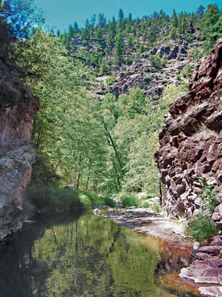 Don’t be fooled hiking into Little Creek. Anglers making this journey will walk along a seemingly dry creek bed but find perennial water upstream. Photo by Jill Wick, New Mexico Wildlife magazine, NMDGF.