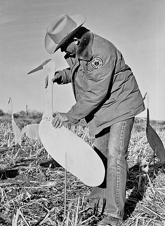 Bill Huey with crane decoys. Photo: NMDGF. New Mexico Wildlife Magazine, Vol-48, Num-3 Fall 2003. (Making Tracks: A Century of Wildlife Management. (History of the New Mexico Department of Game and Fish).
