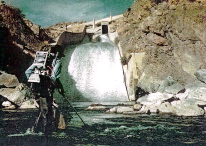 Electrofishing the waters below Elephant Butte Dam. Photo: Jack Kelly. New Mexico Wildlife magazine, Vol-49, Num-3 Fall 2004. (Making Tracks: A Century of Wildlife Management. (History of the New Mexico Department of Game and Fish).