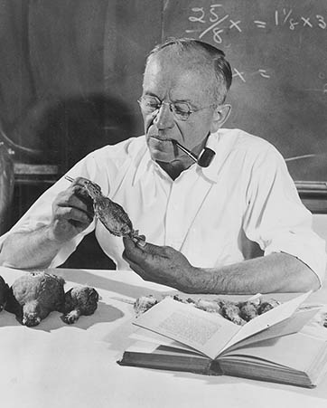 Leopold as professor. Photo: Robert C. Oetking, University of Wisconsin - Madison Archives. New Mexico Wildlife Magazine, Vol-48, Num-2 Summer 2003. (Making Tracks: A Century of Wildlife Management. (History of the New Mexico Department of Game and Fish).