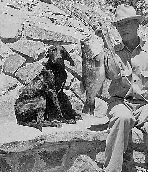 Hugh Boyd with 6-1/2 pound largemouth bass caught at Elephant Butte Lake, June 1938. Photo: NMDGF. New Mexico Wildlife Magazine, Vol-48, Num-1 Spring 2003. (Making Tracks: A Century of Wildlife Management. (History of the New Mexico Department of Game and Fish).