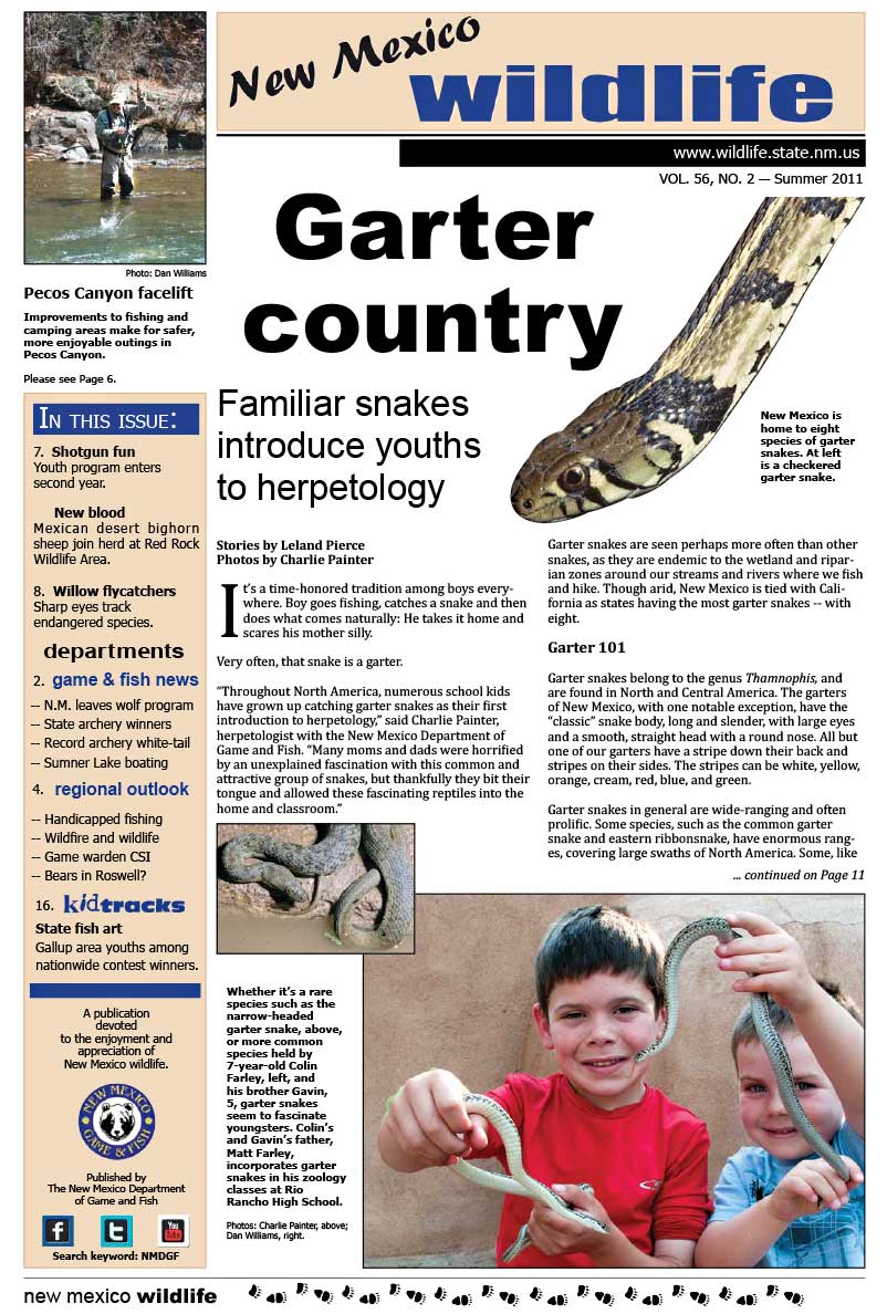 Garter Country: Familiar Snakes Introduce Youths to Herpetology - New Mexico Wildlife magazine - Volume 56, Number 2, Summer 2011, New Mexico Game and Fish (NMDGF).