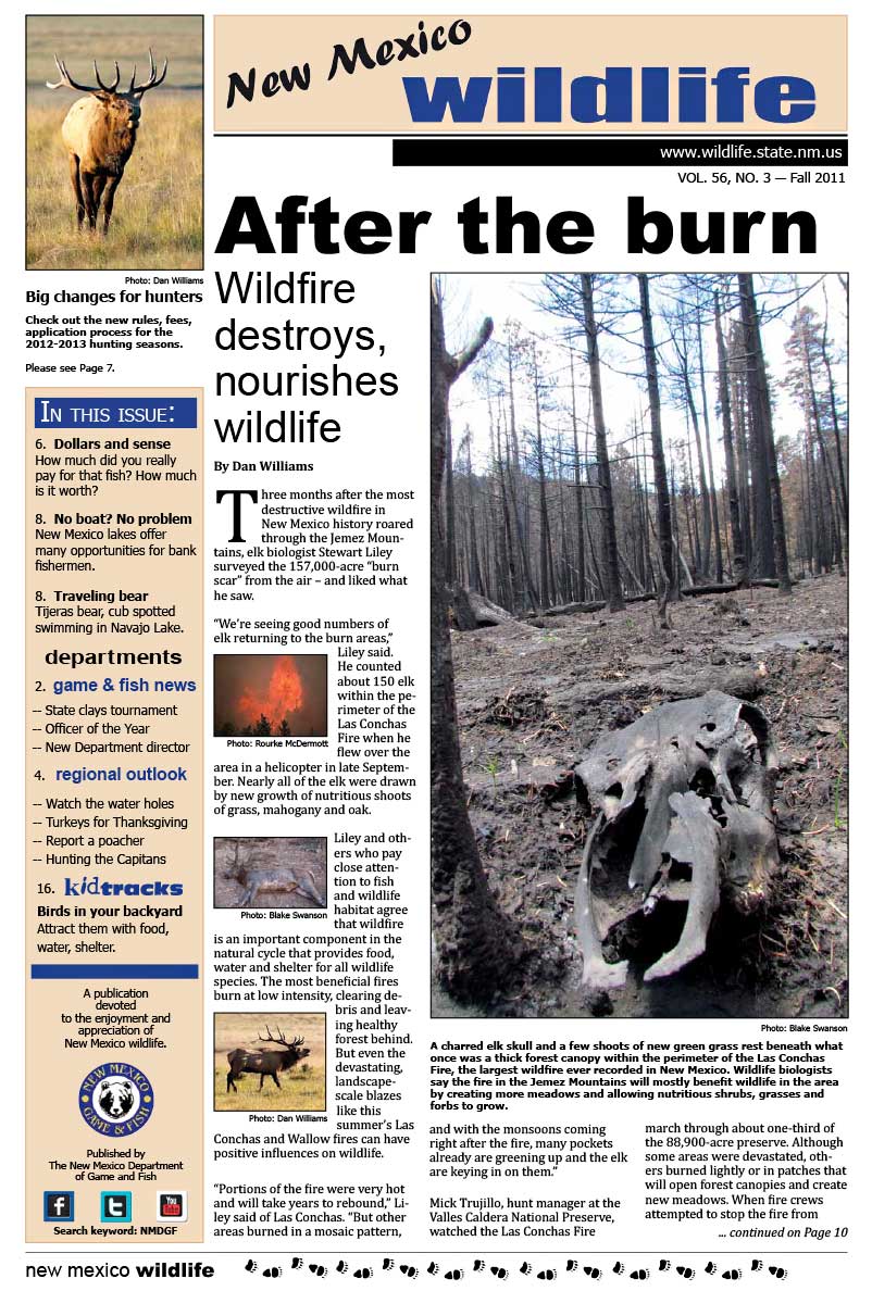 After the Burn: Wildfire Destroys, Nourishes Wildlife - New Mexico Wildlife magazine - Volume 56, Number 3, Fall 2011, New Mexico Game and Fish (NMDGF).