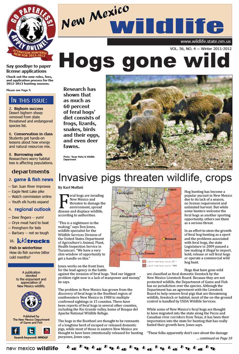Hogs Gone Wild: Invasive Pigs Threaten Wildlife, Crops - New Mexico Wildlife magazine - Volume 56, Number 4, Winter 2011-2012, New Mexico Game and Fish (NMDGF).