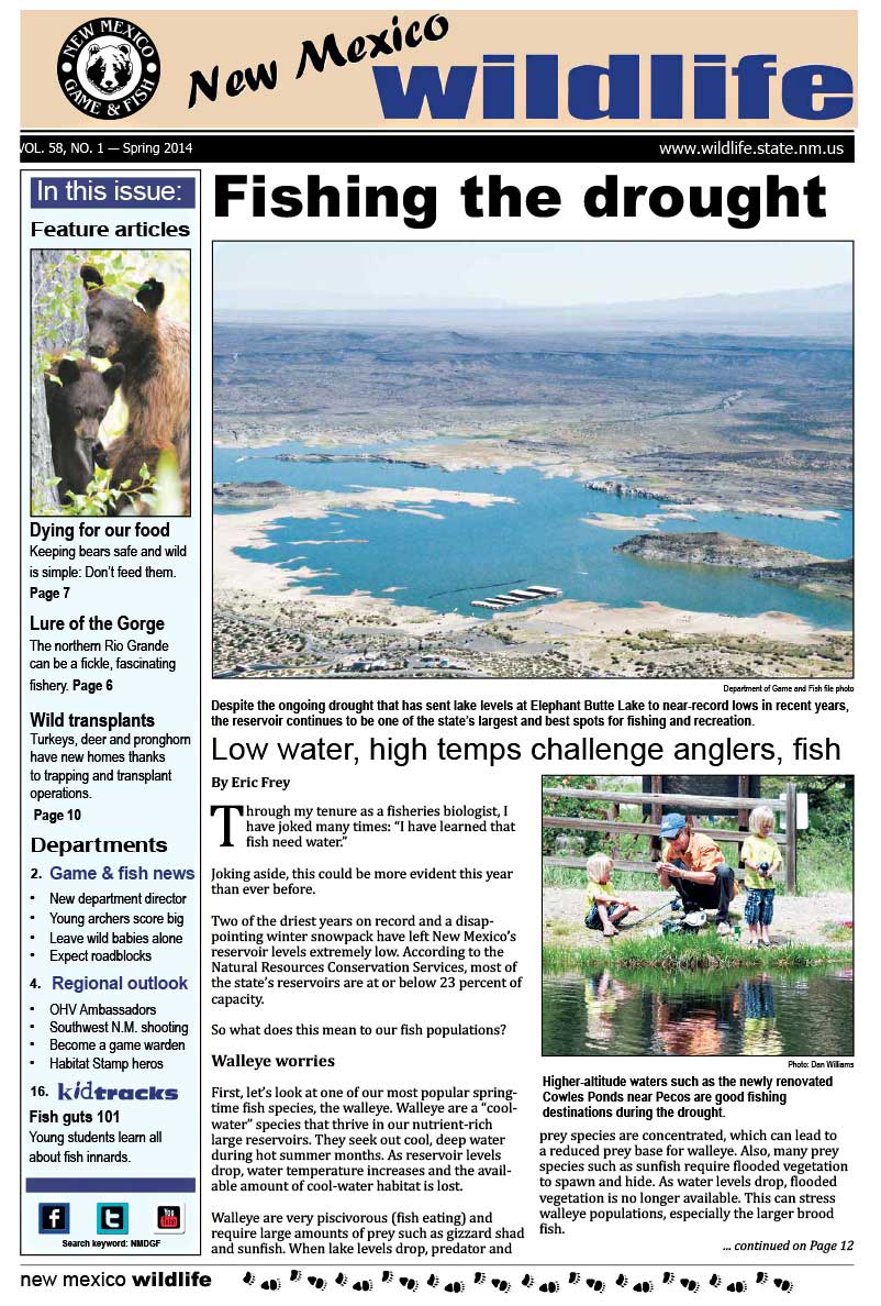 Fishing the Drought: Low Water, High Temps Challenge Anglers, Fish - New Mexico Wildlife magazine - Volume 58, Number 1, Spring 2014, New Mexico Game and Fish (NMDGF).