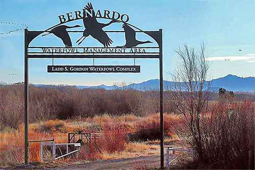 Bernardo Wildlife Management Area. Photo by Dan Williams, New Mexico Wildlife magazine Spring 2017 Vol60, Num1, New Mexico Department of Game and Fish.