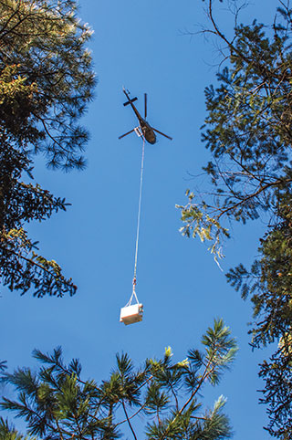 Accessing Mineral Creek is a difficult task, so biologists hiked into two areas along the creek and Gila trout, held in an oxygenated tank, were helicoptered in to the release sites. Personnel on the ground would release the tanks from the end of a long cable. Photos by Craig Springer, USFWS, New Mexico Wildlife magazine Spring 2017 Vol60, Num1, New Mexico Department of Game and Fish.