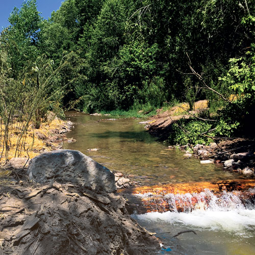 In the United States, the threatened Chihuahua chub occurs only in the Mimbres River in New Mexico. Game and Fish biologists are enthusiastic that habitat restoration work to nearly a mile of the river is going to help recovery efforts. NMDGF photo by Mike Ruhl, New Mexico Wildlife magazine Spring 2017 Vol60, Num1, New Mexico Department of Game and Fish.