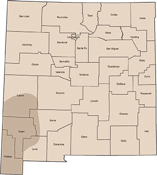 Coatis are typically fond in the southwestern "boot heel" of the state. New Mexico Wildlife magazine Winter 2018 Vol61, Num1, New Mexico Department of Game and Fish.