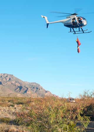 Captured bighorn are carried by helicopter to a processing site. New Mexico Department of Game and Fish web exclusive.
