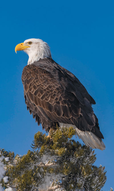 Young adult. Brad Ryan Wild Enchantment Photography