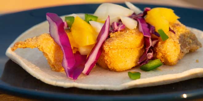Baja-Style Walleye Tacos. Photo photo courtesy of Alexa Henry