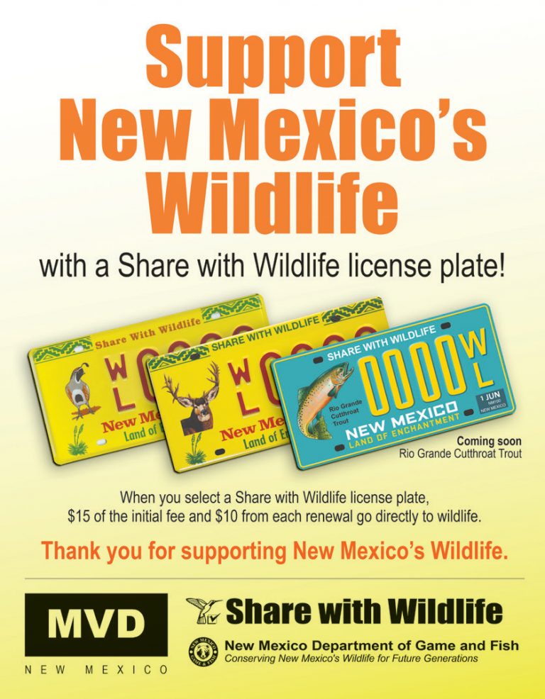 News And Information New Mexico Wildlife Magazine 9051