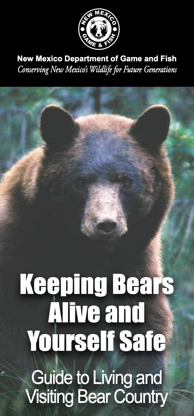 Continue to be bear aware this fall - New Mexico Wildlife magazine