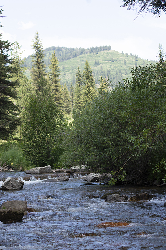 Teach your kids how to read the water in a river - New Mexico Wildlife  magazine