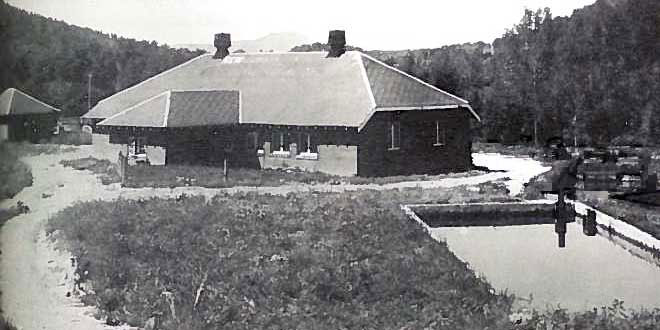 The NNVHS! on X: Messicks Fish Factory, Irvington, Virginia, ca. 1910.  1912 Menhaden Industry report, There are at present about 50 fish-scrap  factories scattered along the Atlantic and Gulf coasts. The largest