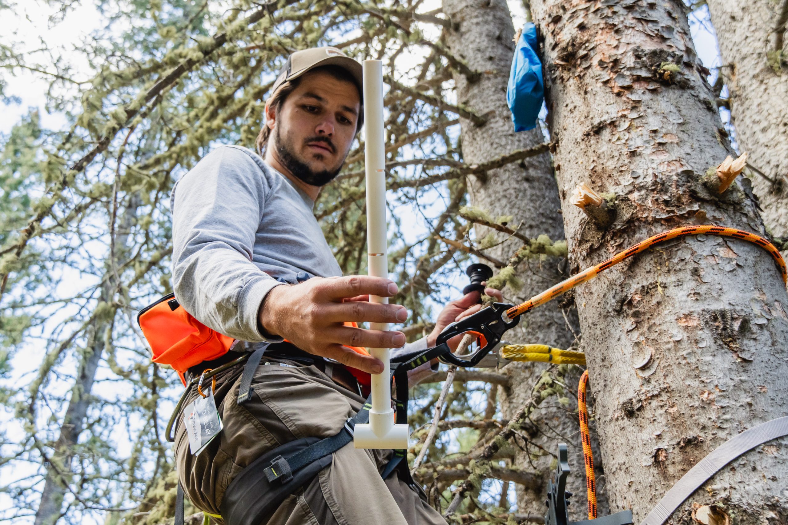 Nick installing a lure station for marten.s